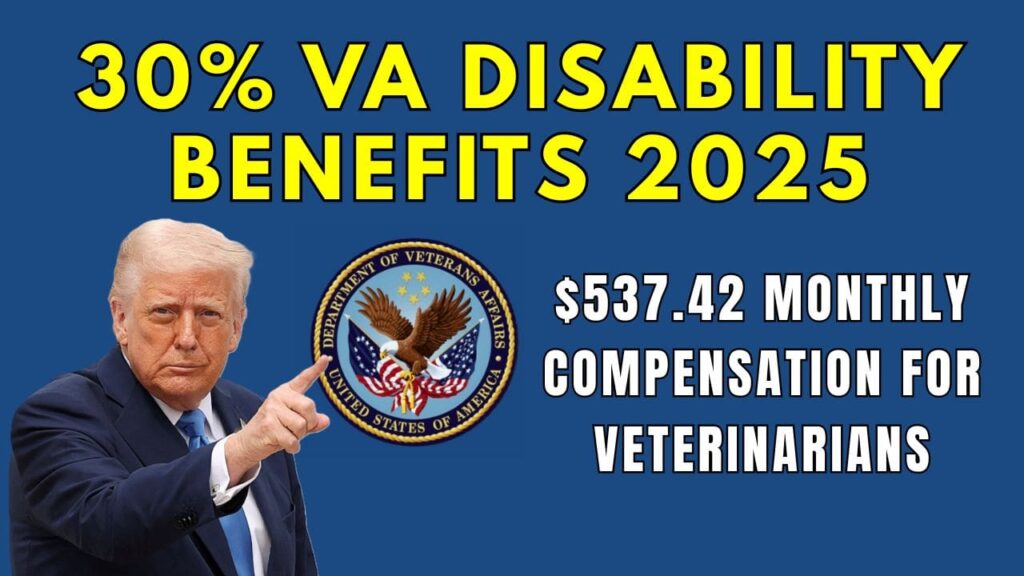 30 Percent VA Disability Benefits 2025: $537.42 Monthly Compensation for Veterinarians 1 30 Percent VA Disability Benefits 2025